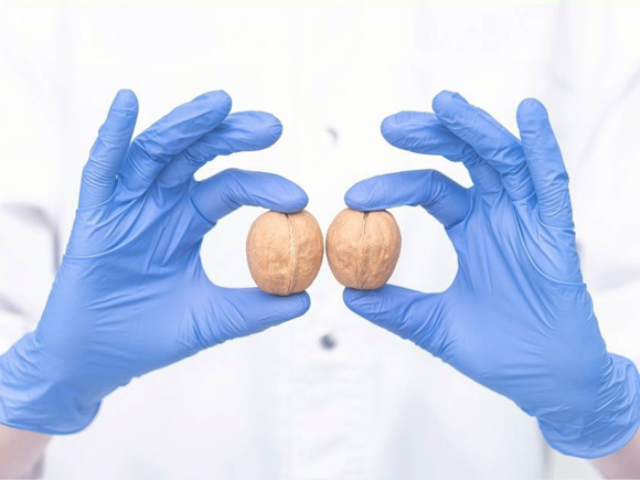 İnmemiş Testis Kısırlık Yapar mı?
